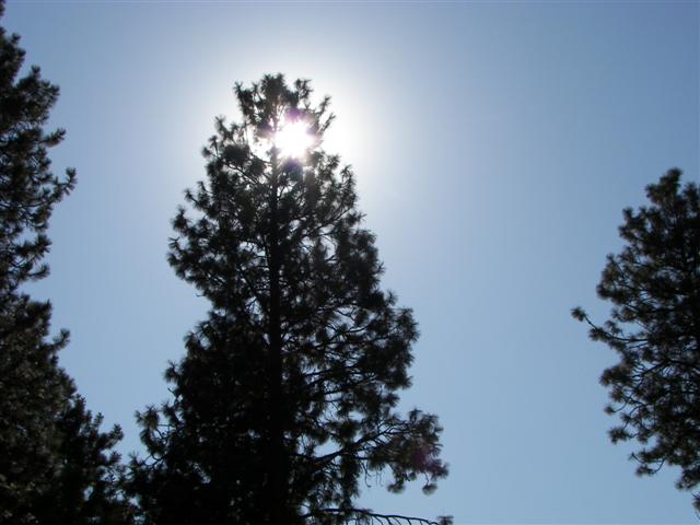 Falls Park in Post Falls, ID #4 of 13 (#2482)