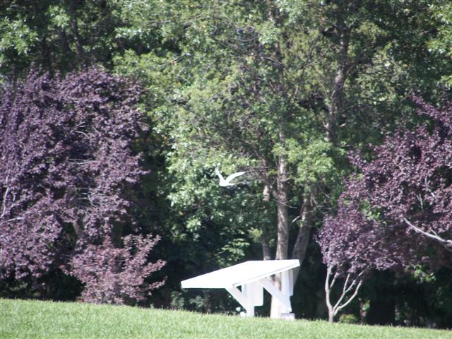 Couer d'Alene park and lake #13 of 21 (#2507)