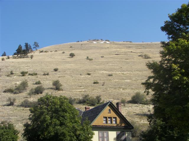 University of Montana #5 of 5 (#2595)