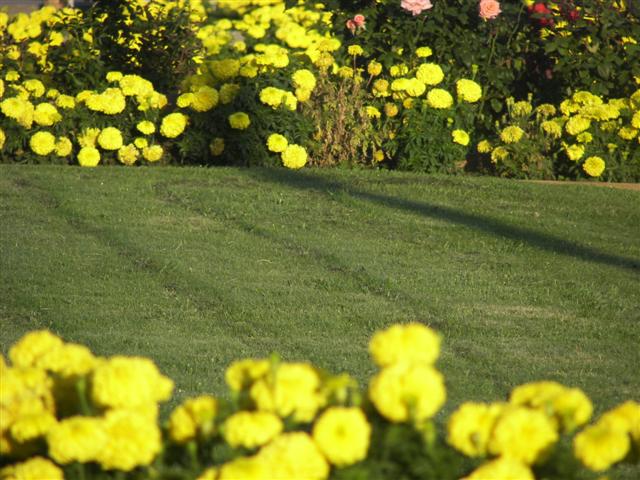Flathead Lake south of Kalispell MT #13 of 17 (#2633)