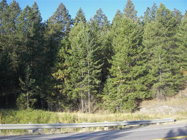 Highway between Flathead Lake to Kalispell MT #6 of 22 (#2645)