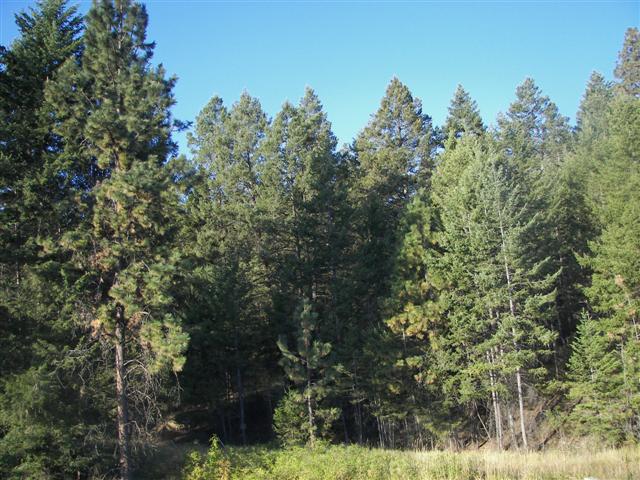 Highway between Flathead Lake to Kalispell MT #7 of 22 (#2646)