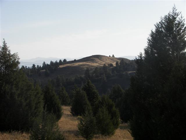 Highway between Flathead Lake to Kalispell MT #21 of 22 (#2662)