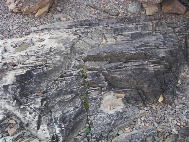 Glacier National Park Scenery #4 of 26 (#2681)