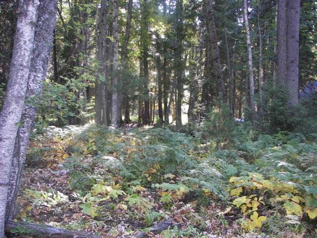 Glacier National Park Scenery #23 of 26 (#2702)