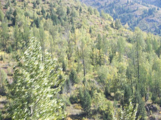 Glacier National Park Southside Highway #3 of 12 (#2710)