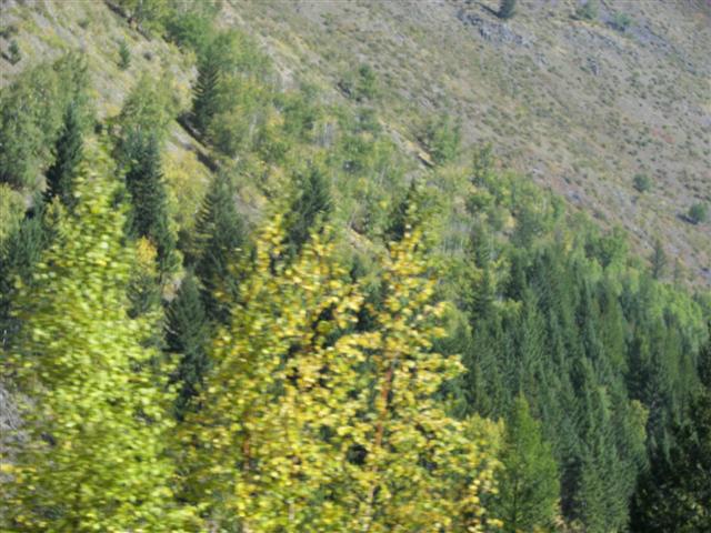 Glacier National Park Southside Highway #11 of 12 (#2720)