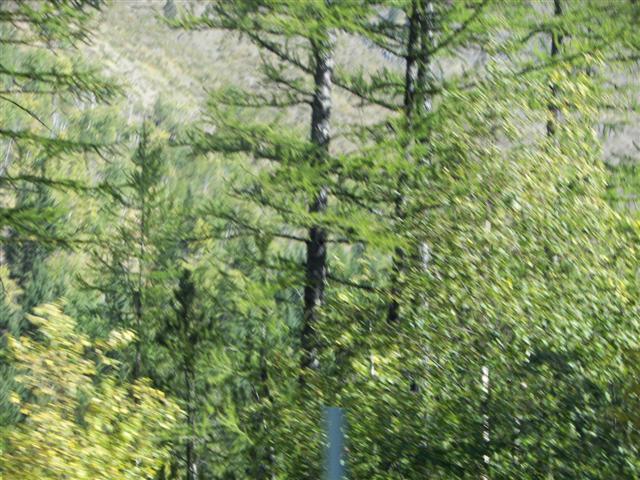 Glacier National Park Southside Highway #12 of 12 (#2721)