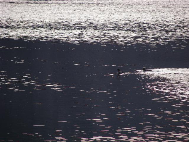 Upper Holter Lake and farm at Gates to the Mountains Rec Area #4 of 23 (#3033)