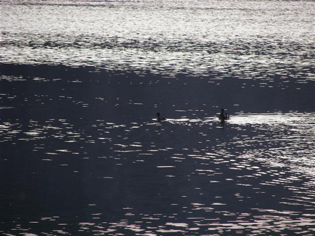 Upper Holter Lake and farm at Gates to the Mountains Rec Area #5 of 23 (#3034)