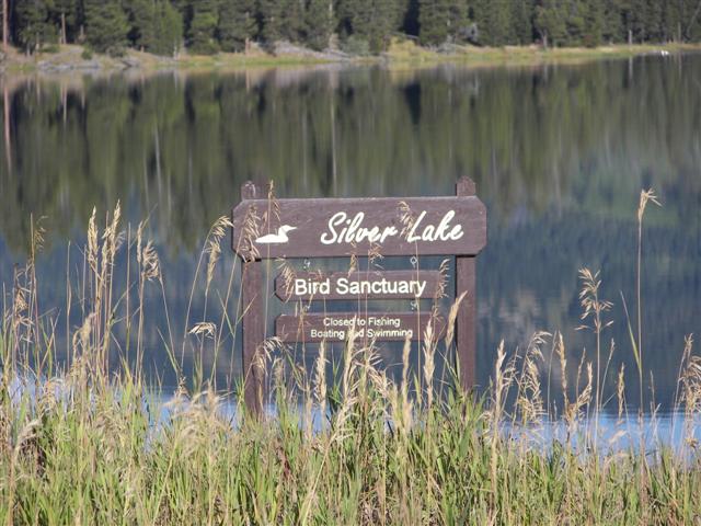 Harriman's State Park scenery #1 of 29 (#3193)