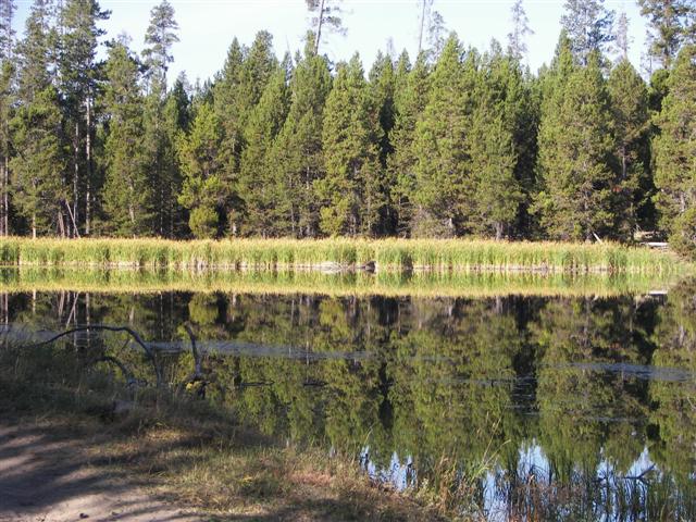 Harriman's State Park scenery #3 of 29 (#3195)