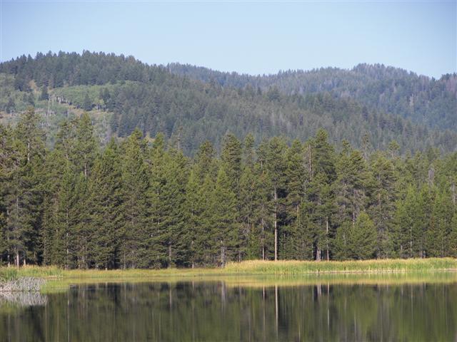 Harriman's State Park scenery #11 of 29 (#3203)
