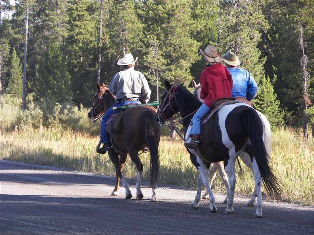 Harriman's State Park scenery #14 of 29 (#3206)
