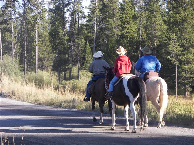 Harriman's State Park scenery #15 of 29 (#3207)