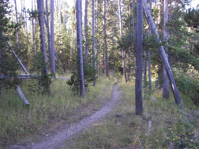 Harriman's State Park scenery #16 of 29 (#3208)