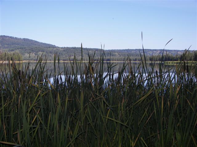 Harriman's State Park scenery #18 of 29 (#3210)