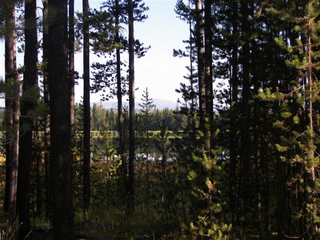 Harriman's State Park scenery #20 of 29 (#3212)