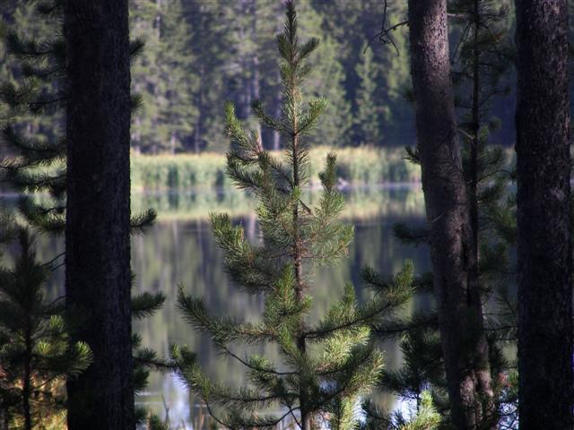 Harriman's State Park scenery #22 of 29 (#3214)