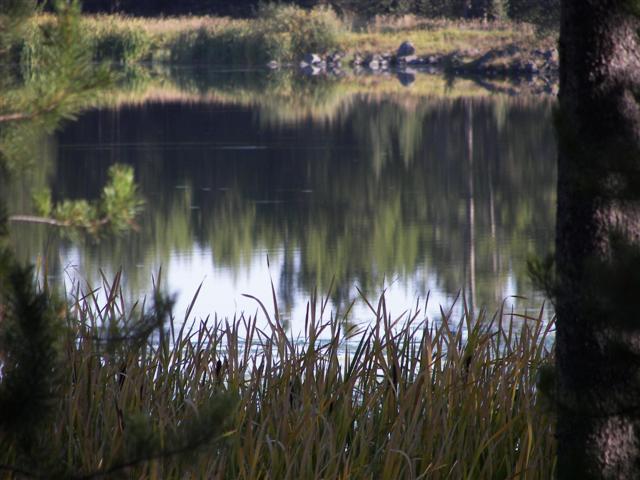 Harriman's State Park scenery #23 of 29 (#3215)