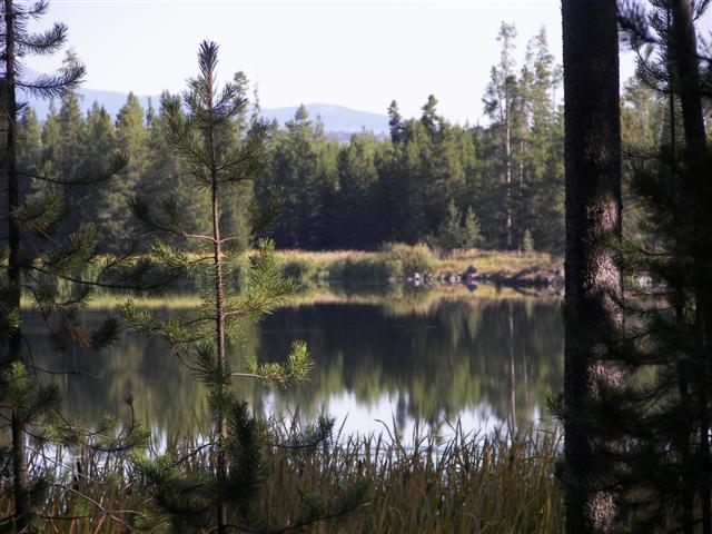 Harriman's State Park scenery #24 of 29 (#3216)