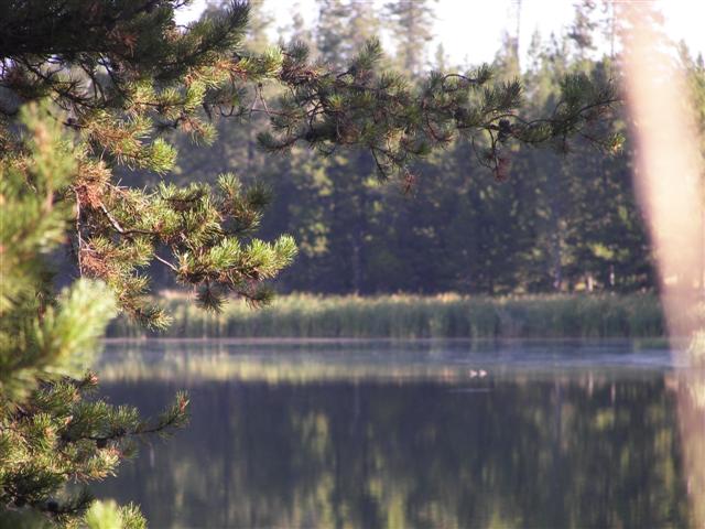 Harriman's State Park scenery #26 of 29 (#3218)