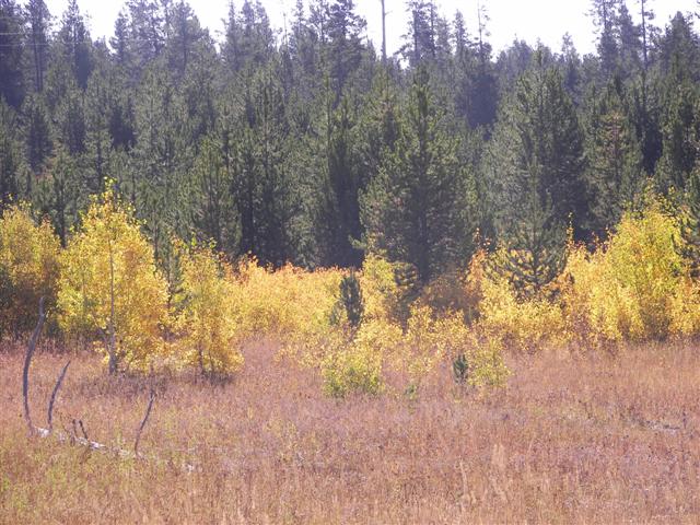 Lower Mesa Falls in Idaho #1 of 8 (#3222)