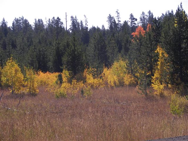 Lower Mesa Falls in Idaho #2 of 8 (#3223)