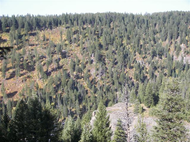 Lower Mesa Falls in Idaho #4 of 8 (#3225)
