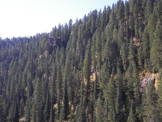 Upper Mesa Falls #15 of 25 (#3247)