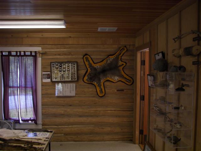 Upper Mesa Falls #24 of 25 (#3258)