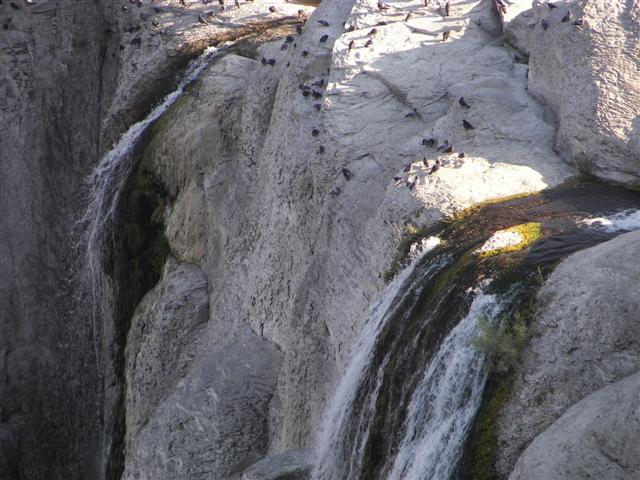 Shoshone Falls area east of Twin Falls ID #21 0f 32 (#3342)