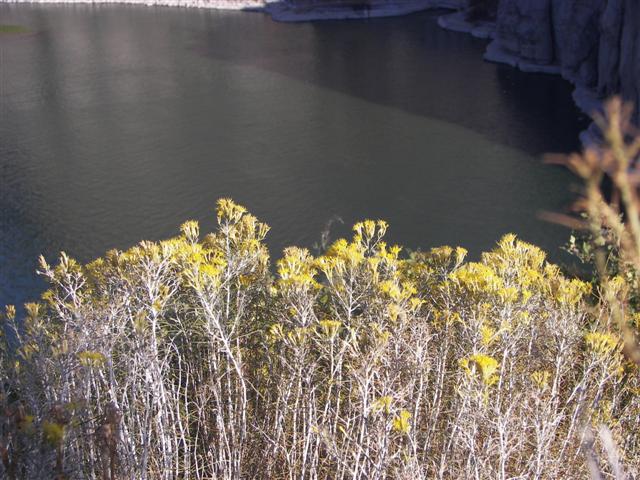 Shoshone Falls area east of Twin Falls ID #25 0f 32 (#3346)