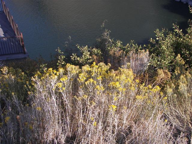 Shoshone Falls area east of Twin Falls ID #26 0f 32 (#3347)