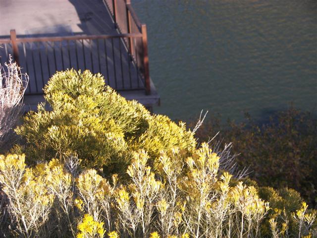 Shoshone Falls area east of Twin Falls ID #28 0f 32 (#3349)