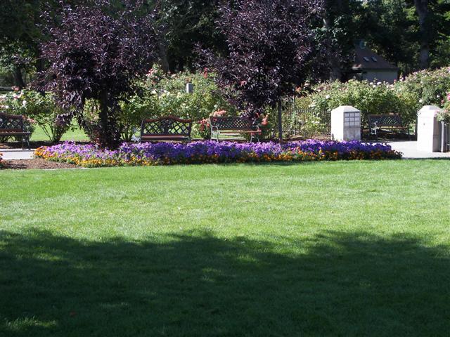 View of area outside the garden #4 of 51 (#3375)