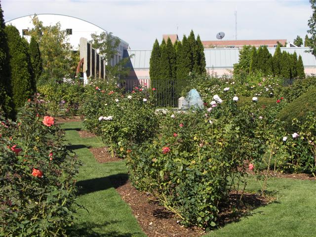 Pathways in the garden #39 of 51 (#3407)