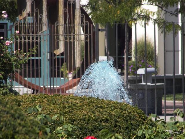 Fountains in the garden #47 of 51 (#3409)