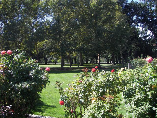 Pathways in the garden #42 of 51 (#3423)