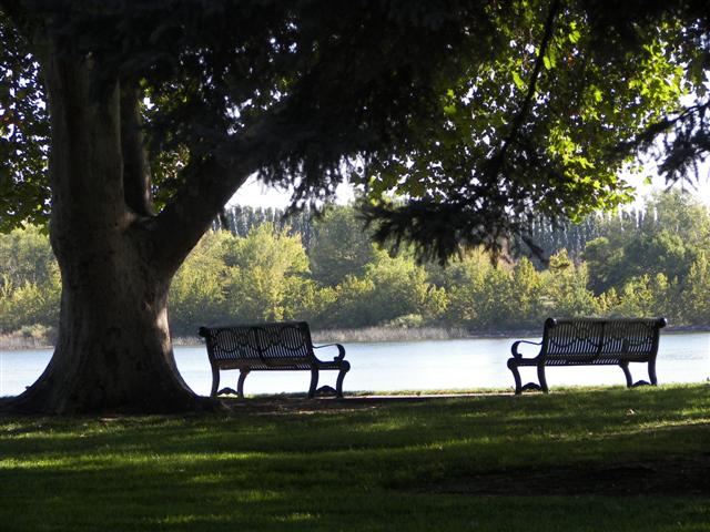 Park along Columbia River in Richland WA #4 of 7 (#3530)
