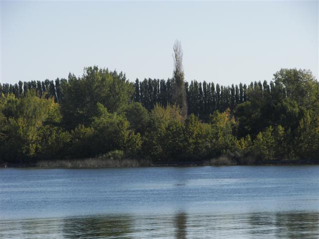 Columbia River in Tri-cities WA #8 of 14 (#3438)