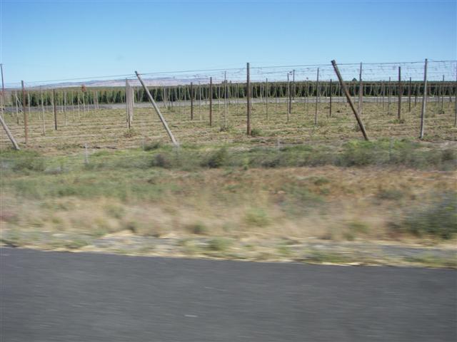 Highway between Tri-cities and Yakima WA #5 of 6 (#3560)