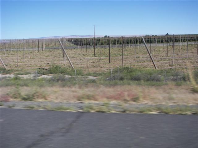Highway between Tri-cities and Yakima WA #6 of 6 (#3561)
