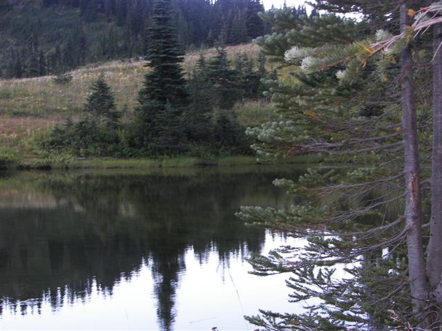 Lakes and streams in Mt. Rainier National Park #12 of 29 (#3612)
