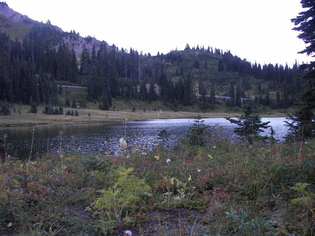 Lakes and streams in Mt. Rainier National Park #13 of 29 (#3620)