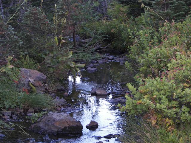 Lakes and streams in Mt. Rainier National Park #22 of 29 (#3639)