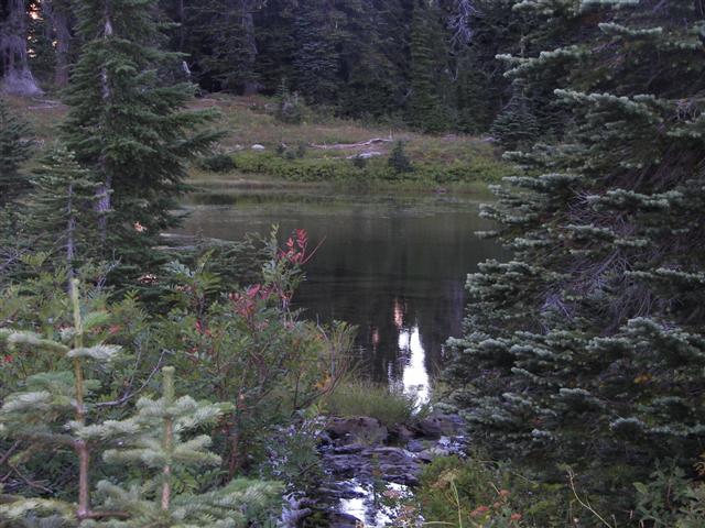 Lakes and streams in Mt. Rainier National Park #23 of 29 (#3640)