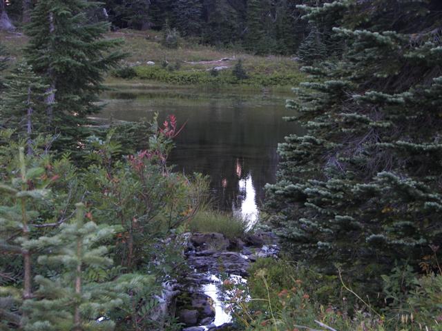 Lakes and streams in Mt. Rainier National Park #24 of 29 (#3641)