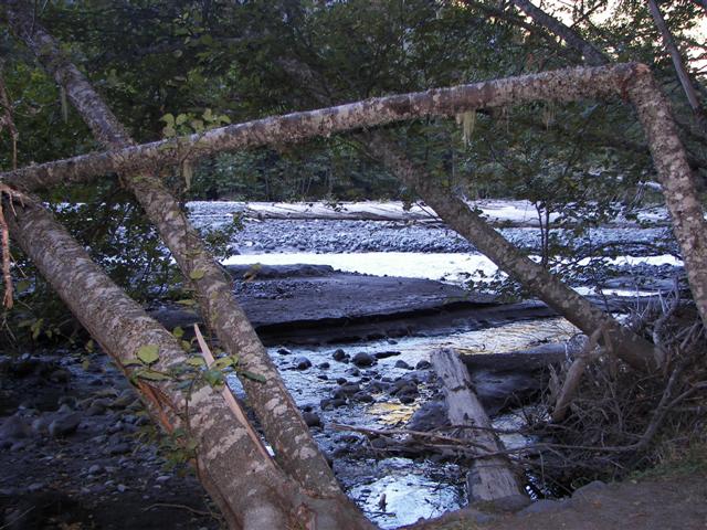 Lakes and streams in Mt. Rainier National Park #25 of 29 (#3646)