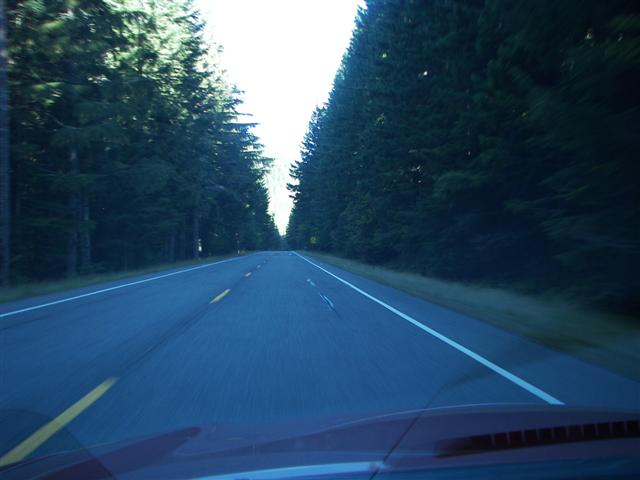 Highway from Enumclaw WA to Seattle WA Area #3 of 9 (#3648)
